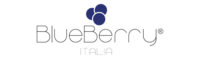 logo-BlueBerry